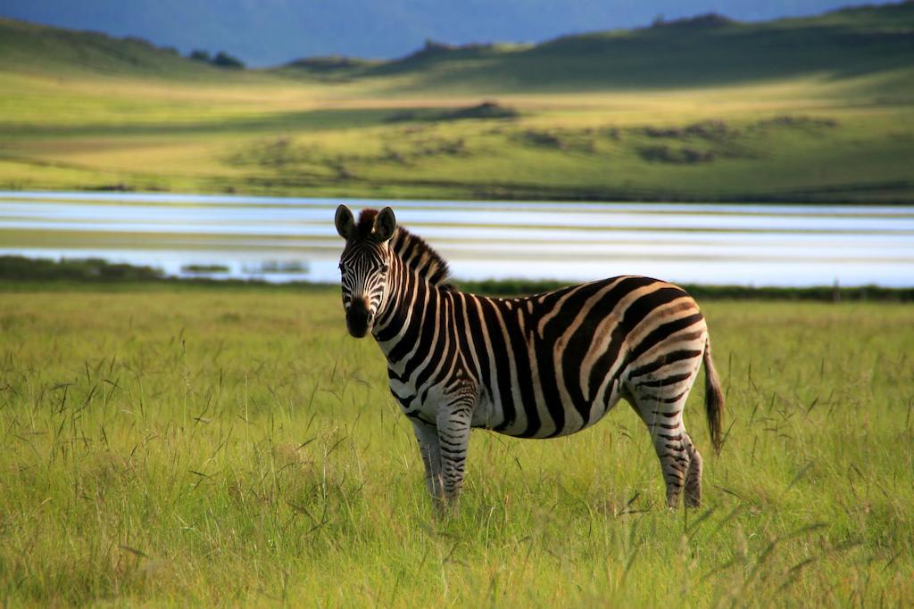 Sani Valley Nature Lodges Himeville Ngoại thất bức ảnh