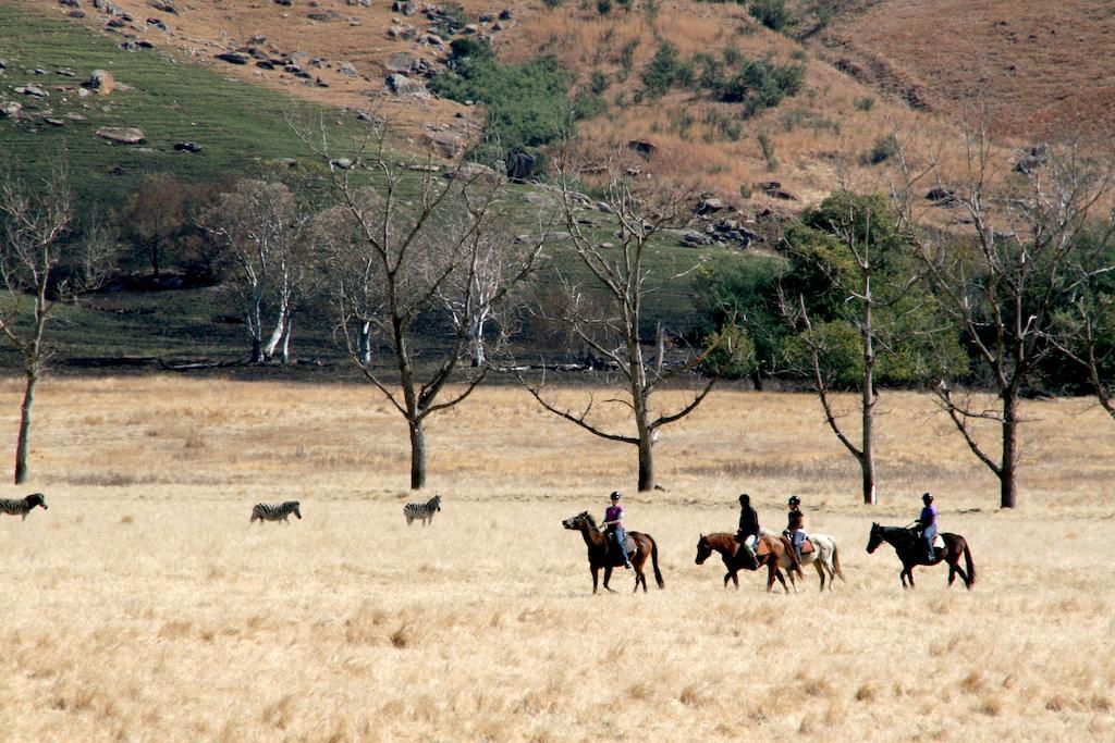 Sani Valley Nature Lodges Himeville Ngoại thất bức ảnh