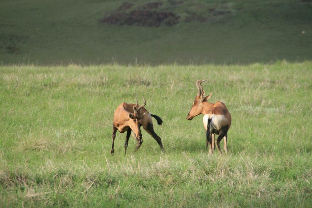 Sani Valley Nature Lodges Himeville Ngoại thất bức ảnh